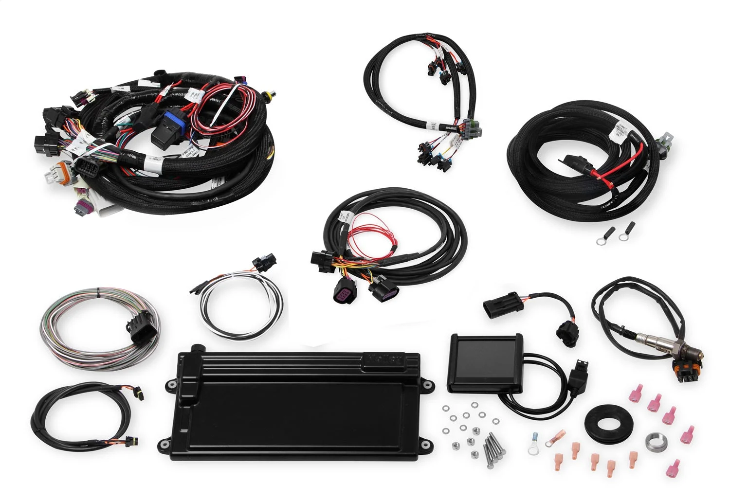 Terminator LS MPFI Kit