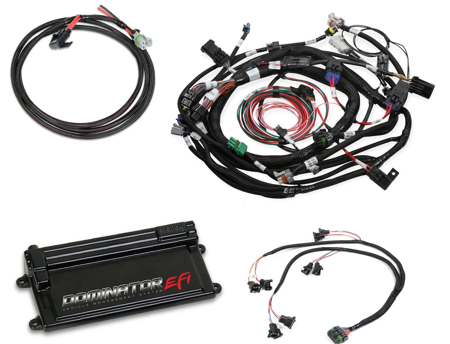 Dominator EFI Kit - Ford - COP Main Harness