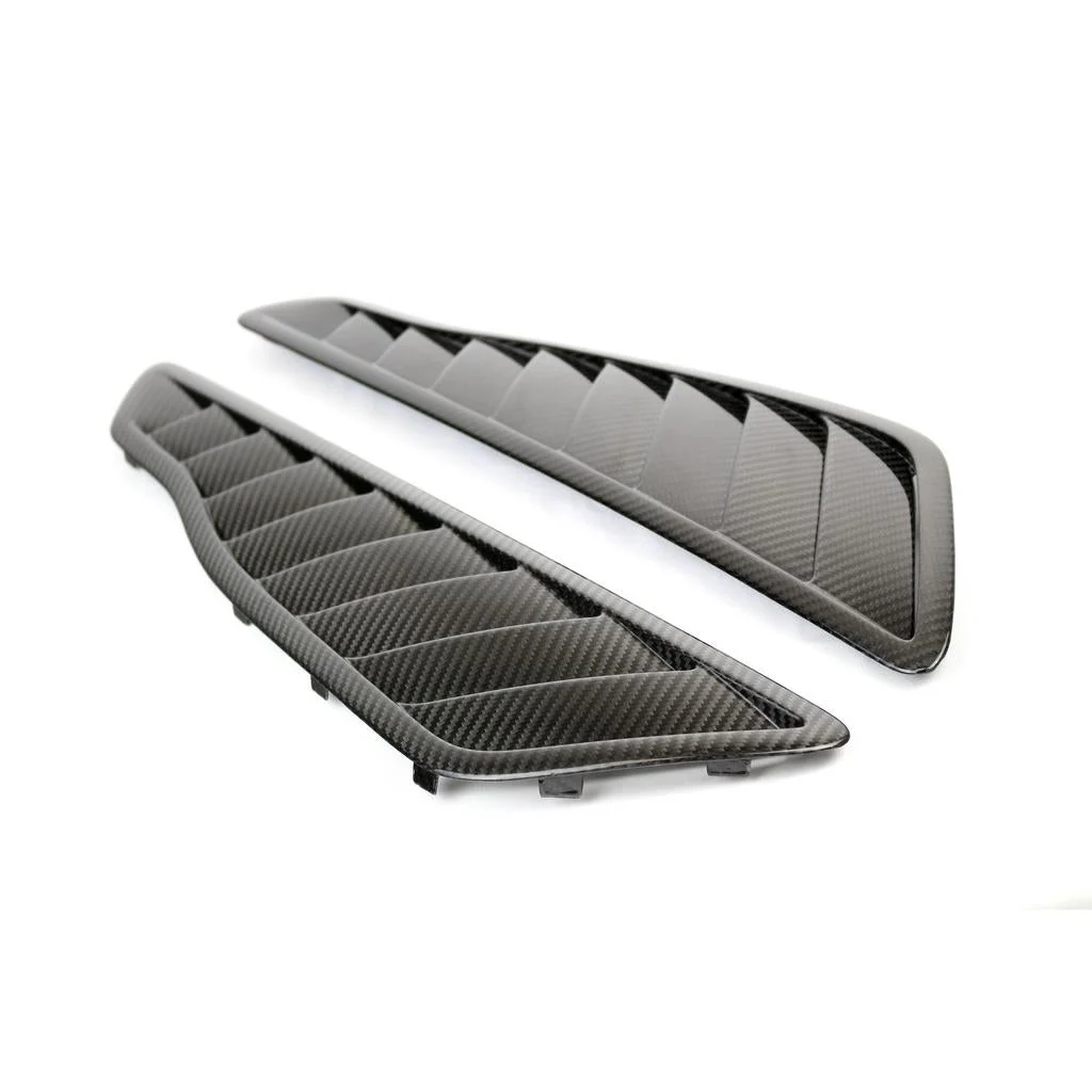 Carbon Fiber Mercedes Benz AMG GTR Pro Fender Vents 2020